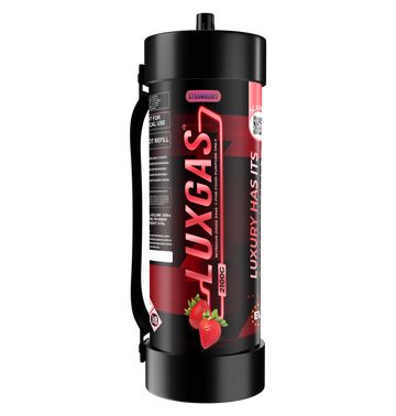 LUXGAS Fraise 2100G Chargeur de crème